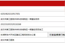 最新！武汉这座三甲医院即将开工图片