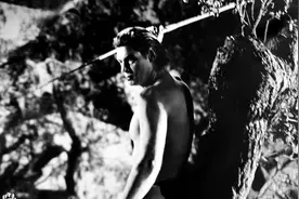 索尼拿下《人猿泰山》版权！故事将被重启改写图片