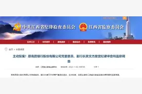 退休8个月后，这家银行副行长主动投案图片