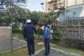 用时三个月，走访500多户居民，移栽一棵树怎么这么难？松江这个社区出新招图片