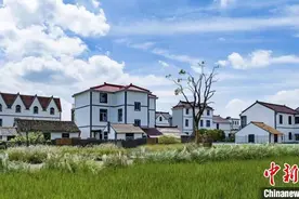 解码海派“新乡村”：“国资”导入带动浦东书院加强配置图片