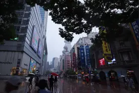 寻味上海丨老店新味：手打咸鱼糟香肉饼蒸膏蟹图片
