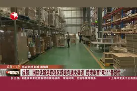 成都：国际铁路港综保区辟绿色通关渠道 跨境电商“双11”备货忙视频封面