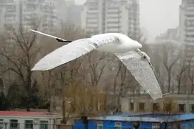 科技爱好者周刊（第229期）：手机充电问题的解决图片