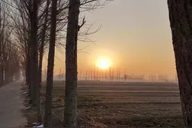 一个人最好的状态（随笔）图片