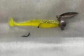 钓鱼用力甩杆后发现不对劲，鱼钩竟勾中22岁同伴的嘴图片