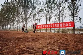 惠民县姜楼镇：“绳播”新技术 助力小麦高产丰收图片