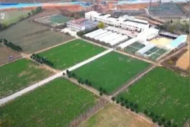 山西晋城大葱丰收 产业化助农增收图片