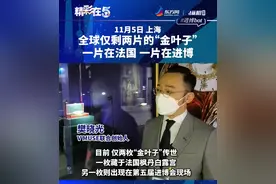 全球仅剩两片的“金叶子”，一片在法国一片在进博图片