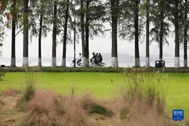 特稿：从湿地之美见证中国生态“密码”启迪世界图片