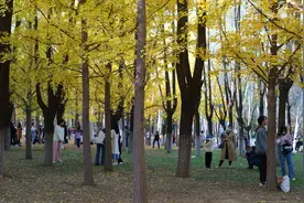 中华环保世纪行走进北京，北京城市绿化覆盖率达到49.29%图片