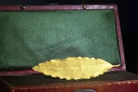 法国国宝“金叶子”等稀世珍宝首次亮相进博会图片