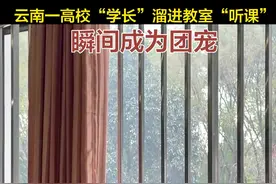 云南一高校“学长”溜进教室“听课”瞬间成为团宠图片