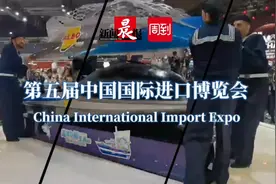 先看整排爱马仕包包还是艺术家作品？苏富比全方位升级再度亮相进博会｜进博进行时图片