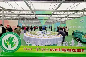 乡村振兴丨大葱长得高，百姓生活好——山东章丘大葱收获见闻图片