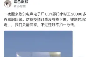 鬼故事来了！网传歌尔股份不良率造假 疑似被暂停生产苹果耳机 公司回应：仍在评估图片