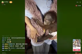 南京红山森林动物园喊“穷”直播筹款引关注：已筹近263万元，约150只动物被认养图片