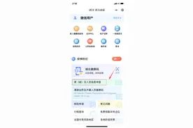 湖北健康码最新使用指南图片