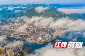 借力国际陆港 本土企业如何在国外扎根？这家企业做出了示范图片