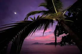 封面测评｜iPhone14系列影像实力究竟如何？图片