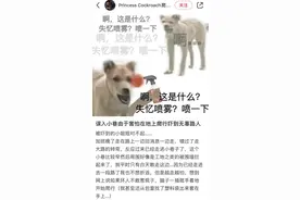 发疯文学照进现实？当代年轻人开始“爬行养生”，爬来爬去真的有益健康吗图片