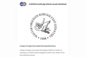 刘少林刘少昂母亲回应：是的，入籍中国图片