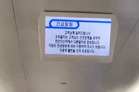 脱轨4天后又出事！韩国KTX高铁突然停车，“倒车”返回车站图片