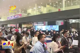 阳江：百辆精品二手车拍卖图片