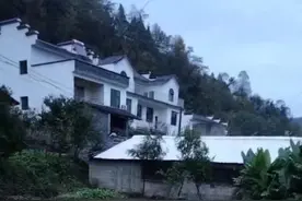 平利一养猪场臭味扰民，环保部门：督促整改图片