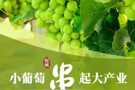 全国示范！这个镇实力上榜图片