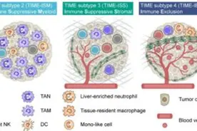北大团队重大发现！癌症治疗新思路图片