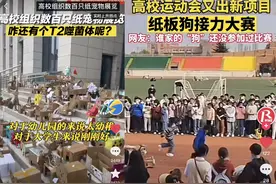 一只500元的纸板狗，大学生的校园新宠图片