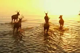 古时候说的云梦泽原来在这里视频封面