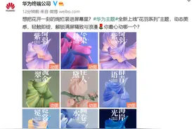 华为主题全新上线“花羽系列”主题！这款手机免费使用图片