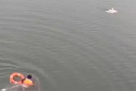 奋力游向生的希望！蒙阴一名货车司机勇救落水女子图片