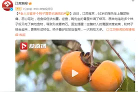 老人日食多个柿子胃里长满结石，医生提醒：一次别吃太多图片