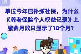 单位今年已补缴社保，为什么《养老保险个人权益记录》上缴费月数只显示了10个月？图片