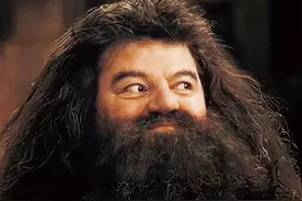 霍格沃茨不能没有你，海格丨逝者图片