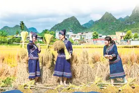 民为邦本 本固邦宁图片