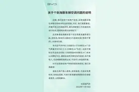 比亚迪：个别海豚车辆空调吹出的白色粉末主要成分为氢氧化铝，对身体无害图片