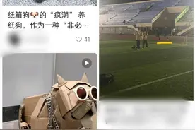 「梗研究」溜纸狗，撸纸猫，大学生在宿舍“无痛”养起纸盒宠物图片