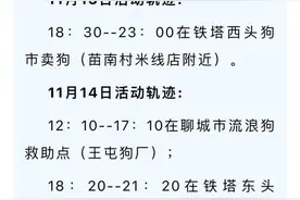 流调中男子白天救狗晚上卖狗？当事人发声图片