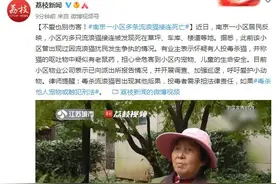 不爱也别伤害！南京一小区多条流浪猫接连死亡图片