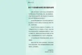 比亚迪回应海豚车型空调喷粉末以及惠州工厂起火事件图片