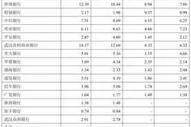 IPO雷达 | 湖北银行争夺“湖北银行第一股”头衔，质地如何？图片