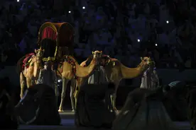 卡塔尔世界杯开幕式举行图片