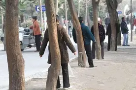 老人撞树来养生，视频热传！这一锻炼方式真的有效吗？图片