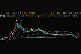 海南椰岛50亿投资糊涂酱酒或为“画大饼”，证监会开罚单警示“牛散”实控人冯彪乱吹牛皮图片