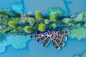 水景太美！上海又一可露营的郊野公园开园啦！70多座小岛！休闲新去处→图片