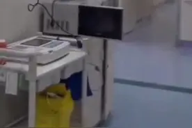 这些食物用微波炉加热会爆炸，你都知道吗？图片